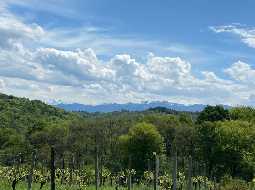 Beautiful renovated Bearnaise Farmhouse with Exceptional Views of the Pyrenees Mountains